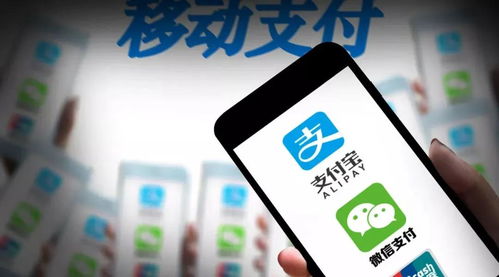 刷臉支付時(shí)代到來,移動(dòng)支付行業(yè)將重構(gòu)商業(yè)價(jià)值